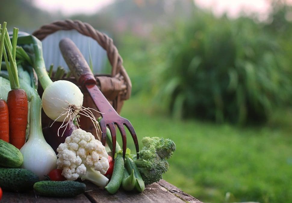 Growing Demand for Organics: Farm to Table Christmas Recipes