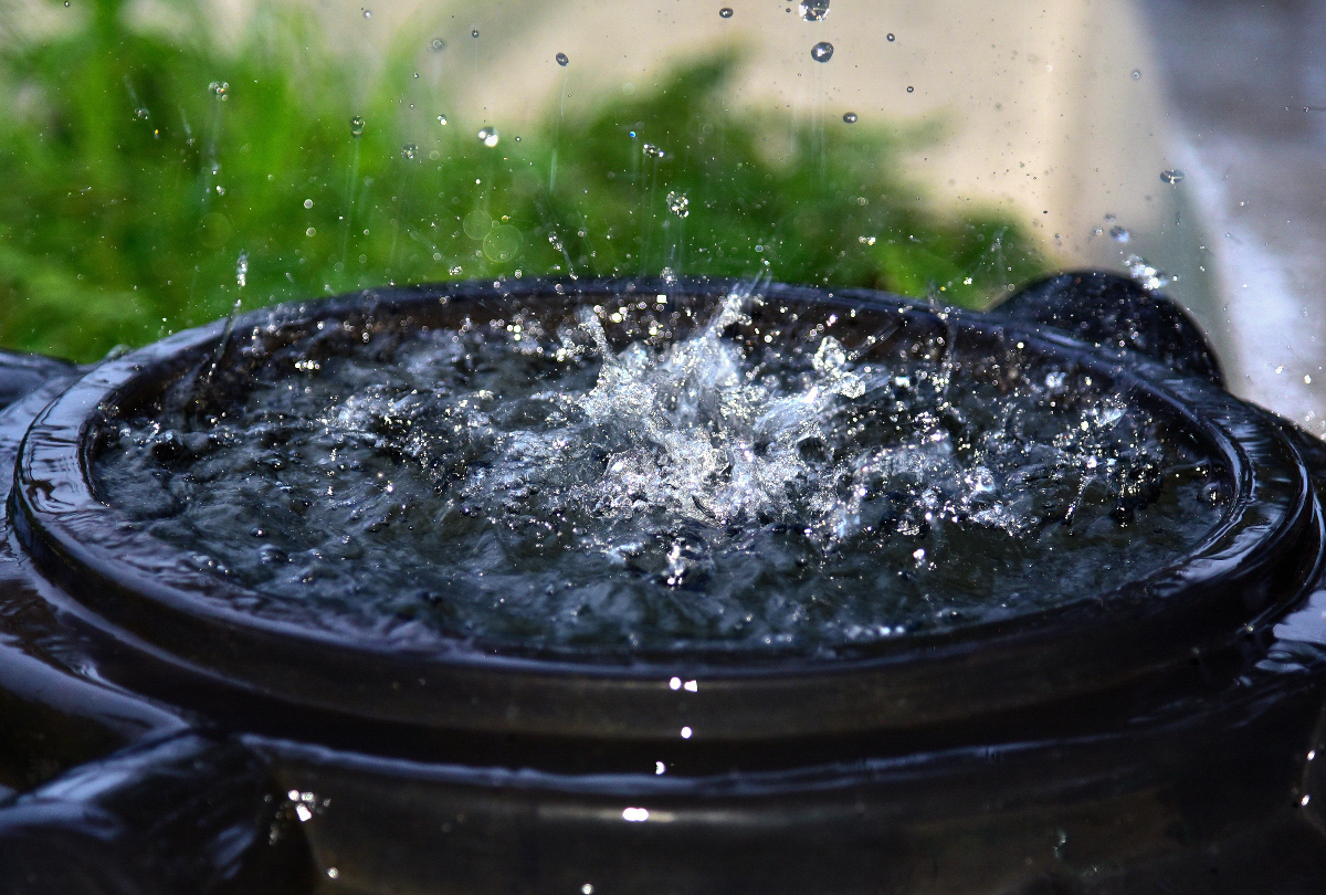 Water Dropping Into Water Catcher