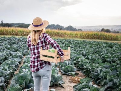 Advertising For Agricultural Seasonal Workers? Here Are Some Tips!