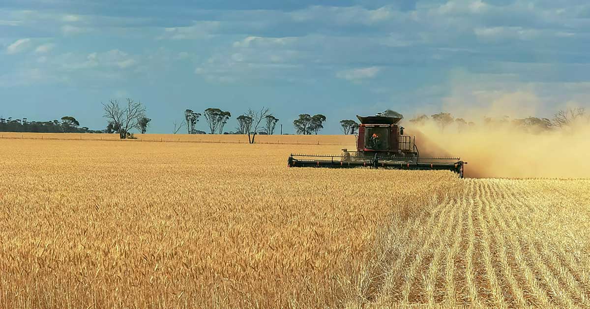 farm crop yield, mouse plague australia, global rotomoulding