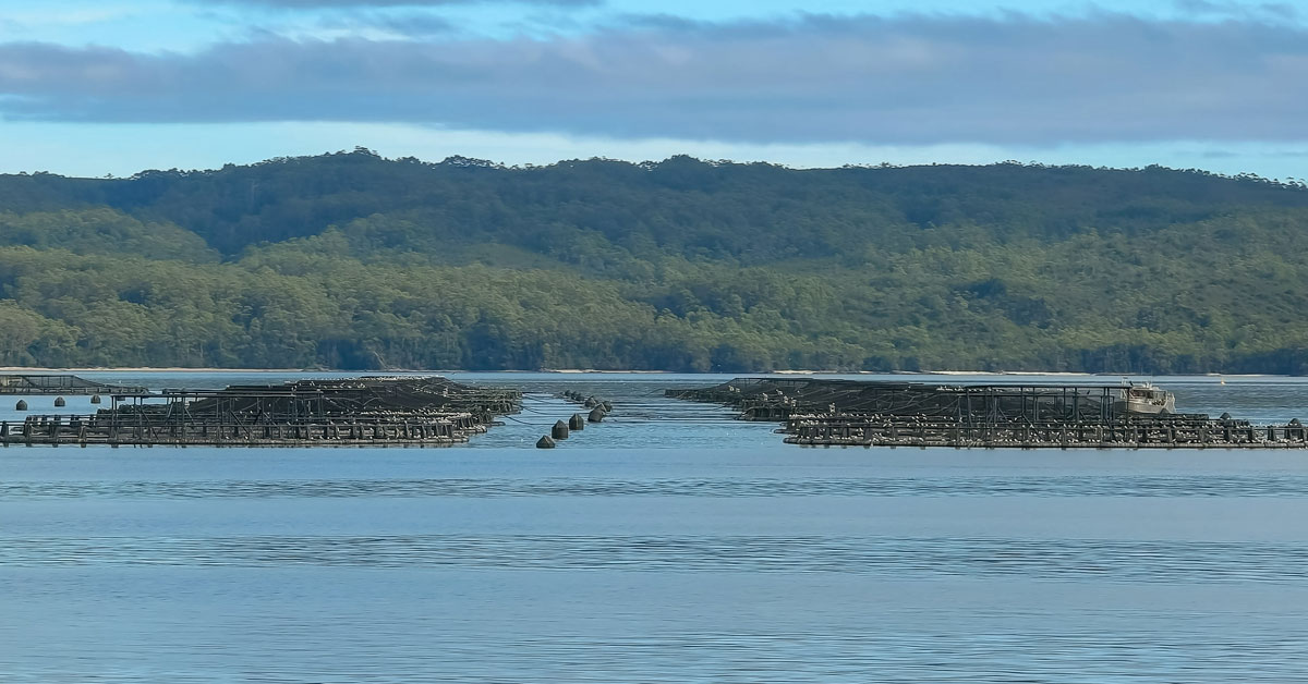 aquaculture australia, Australian Aquaculture - Benefits, Cons and Processes