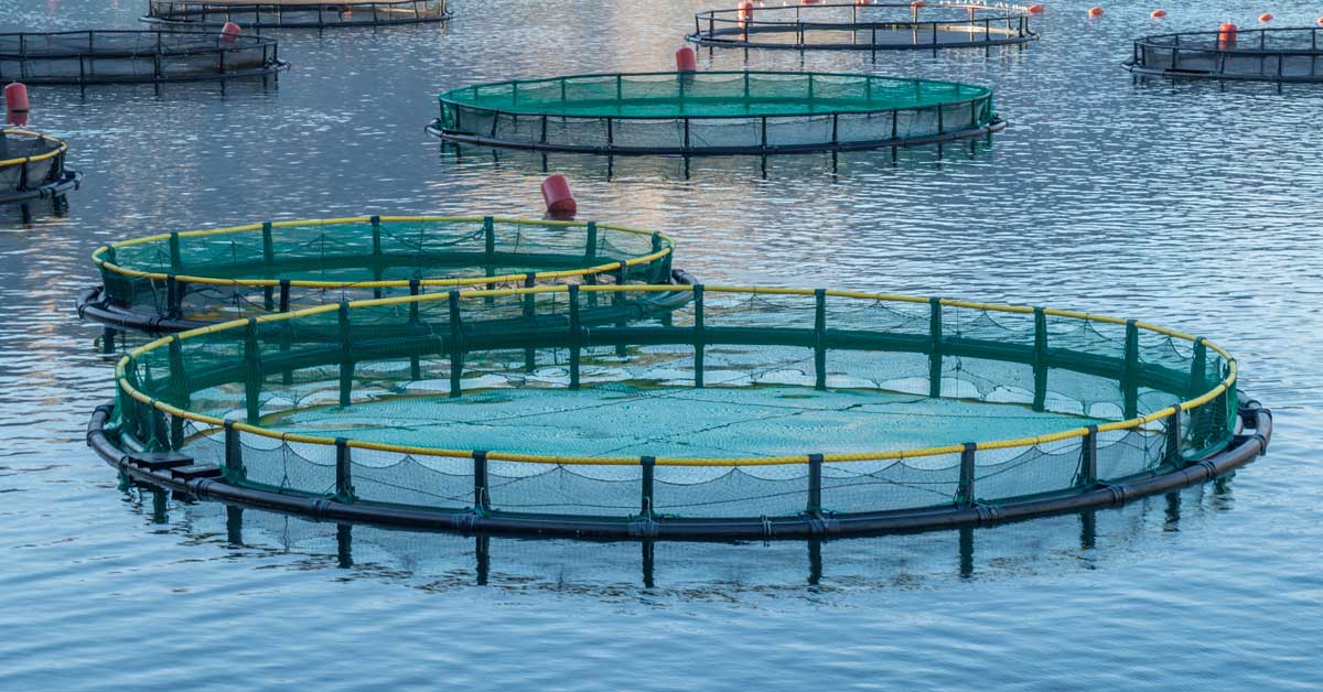 aquaculture, global tanks, pros and cons aquaculture