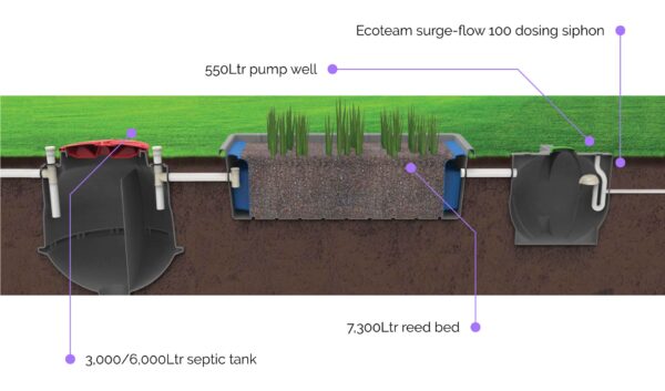 7,300L Reed Bed Infographic