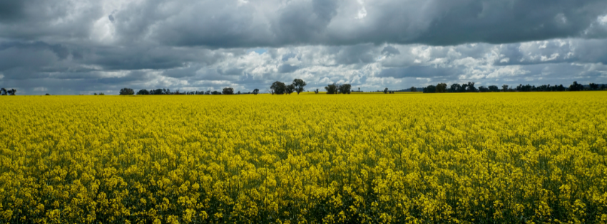 Unlocking the Power of Publicly Available Cropping Research