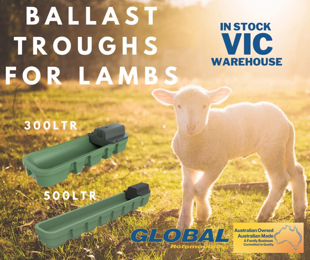 Ballast Troughs for Lambs from Global Rotomoulding Victoria Factory